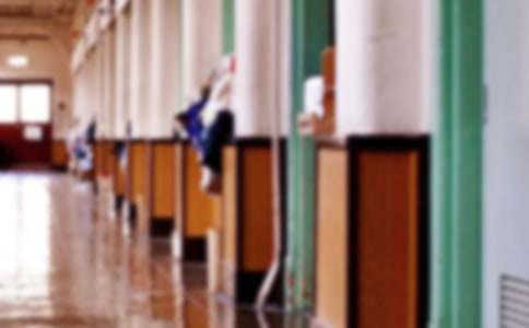 ְҵѧУ��ӭ��������230��