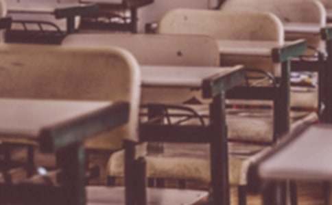 ְҵѧУ����