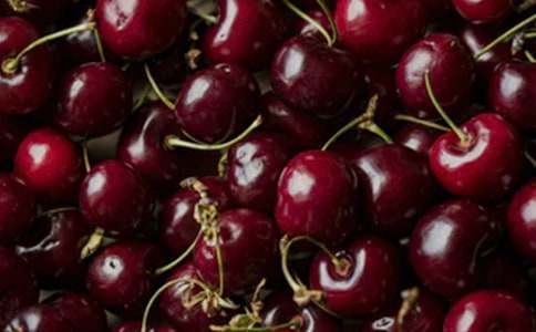 �μ�ӣ�һ���