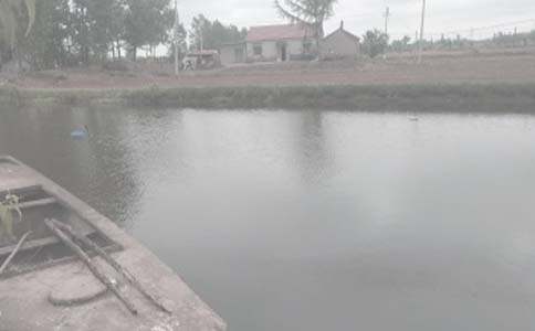 �μ�������ö�С��