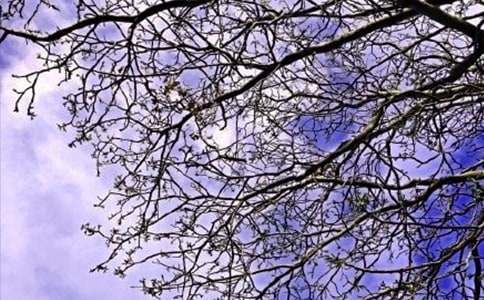 ��������Ȧ�簲˵˵����135�侫ѡ