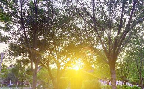 ���������簲����35��