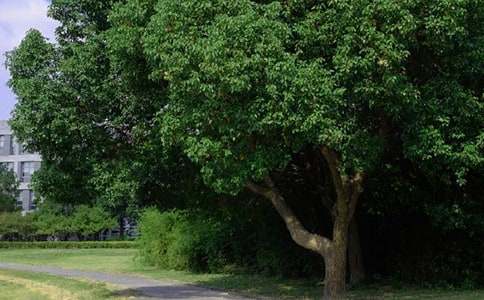 ������־�簲˵˵135��