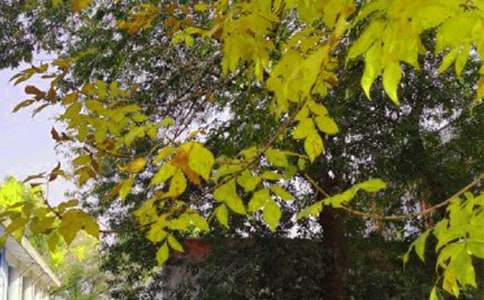 �����������簲��䣨ͨ��35�䣩