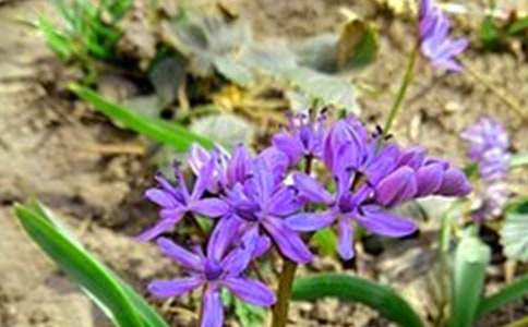 ����ů���簲˵˵30�侫ѡ