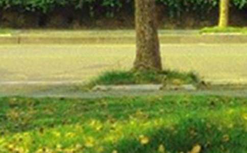 �����簲����󼯺�50��