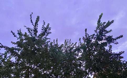 �����������簲˵˵��ȫ��ͨ��105�䣩