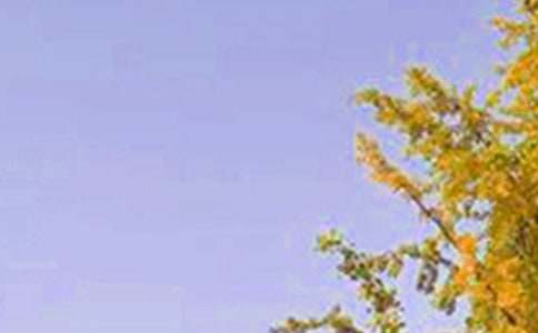 �����š������簲����΢�Ŵ����53��