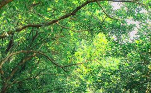 【热门】2025年生活早安心语QQ摘录41句