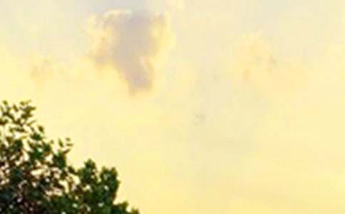 �������������簲����QQ����34��