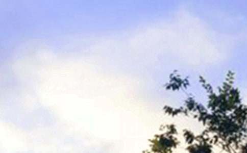 2025�꾭�������簲����΢�Ž���61��