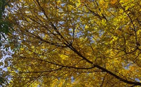 流行个性早安说说40句精选