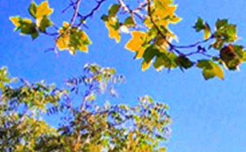 2026���й������簲�������68��