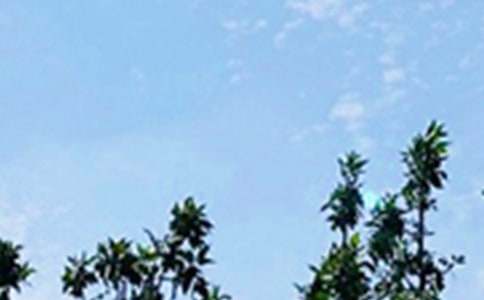 流行早安签名90句