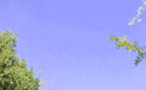 �������������簲��������Ȧժ¼32��