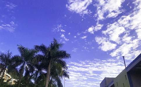 ��̵������簲����ժ¼34��