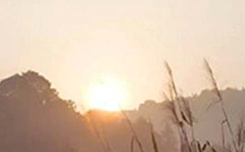 �����������簲���65��