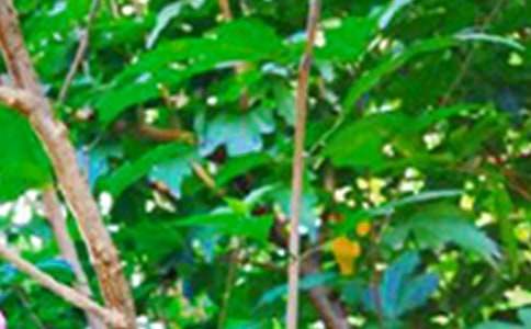 2025年简洁的正能量早安语录汇编38条