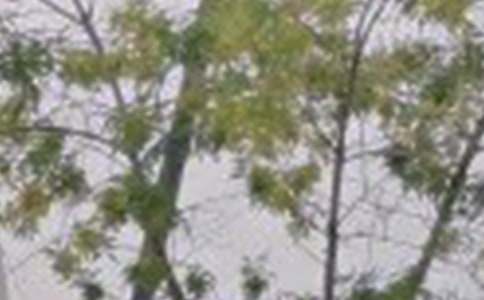 流行正能量早安语句(通用115句)