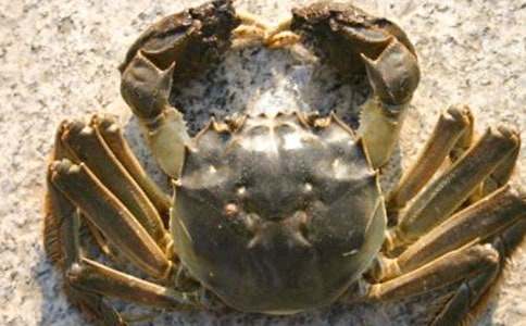 �μ���ѻ�з