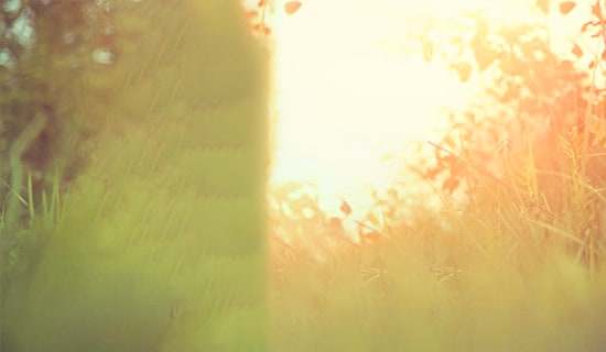 形容翡翠的唯美句子28句